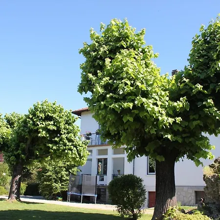Panzió I Due Tigli 3*